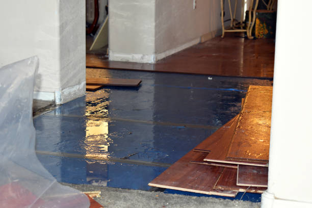 Professional Basement Flood Cleanup technician working in Aquasco, MD